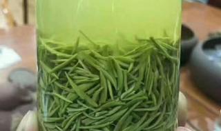 信阳毛尖什么茶