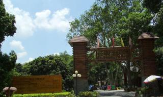 良凤江国家森林公园