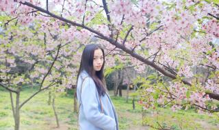 无锡万达广场美食